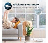Cecotec Ventilateur de pied avec anneau de lumière LED et télécommande EnergySilence FanLamp. 36W, moteur DC, sortie d'air réversible, 3 tons de lumière, Touch Control, minuterie 8h, 3 hauteurs