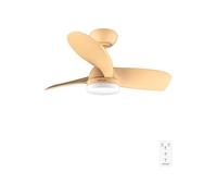 Cecotec - Ventilateur de Plafond avec Lumière EnergySilence Aero 3050 Orange - 35 W, Diamètre 91 cm, LED de 18 W, Télécommande, Minuterie 8 Heures, 6 Vitesses, 3 Pales, Mode Été/Hiver