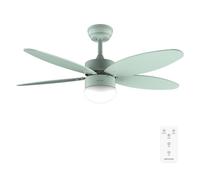 Cecotec - Ventilateur de Plafond avec Lumière EnergySilence Aero 4260 Full Mint - 40 W, Diamètre 106 cm, Lampe Intégrée, Télécommande, Minuterie 8 Heures, 6 Vitesses, 5 Pales, Été/Hiver