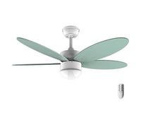 Cecotec Ventilateur de Plafond Energysilence Aero 4260 Mint, 40 W, Moteur DC, Diamètre 42”, 5 Lames Réversibles, Lumière LED, Télécommande, Minuterie, 6 Vitesses