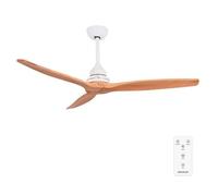 Cecotec Ventilateur de plafond EnergySilence Aero 590