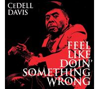 Feel Like Doin' Something Wrong