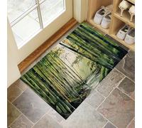 CEDNXOER Paillasson D'Intérieur 50 x 70 cm, Tapis Entree Interieur Lavable Forêt Dense Bambous, Tapis De Porte TPR Antidérapant Absorbant Chinois Forêt pour Entrées Portes D'Entrée Vert