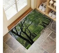 CEDNXOER Tapis De Porte Chemin Forestier Paillasson, Antidérapant Nature Plantes Paillasson, D'Entrée Résistant Vert Tapis De Bain pour Chambre Cuisine Intérieur 80 x 120 cm