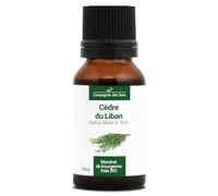 Cèdre du Liban BIO - 15mL - (Cedrus Libani) - Macérat concentré de bourgeons frais