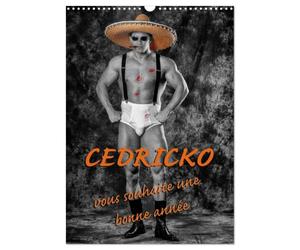 CEDRICKO vous souhaite une bonne année (Calendrier mural 2027 DIN A3 horizontal), CALVENDO calendrier mensuel: Cédricko, bodybuildeur non voyant, a pausé pour quelques photos humoristiques