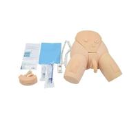CEEBUS Mâle et Femelle Mannequin Modèle de cathétérisme urinaire Simulateur de Pratique infirmière Interchangeable Mannequin pour l'affichage d'étude Modèle d'enseignement