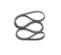 CEINTURE À CôTES V De BOSCH 1 987 945 725 Pour FORD USA, MERCEDES-BENZ