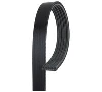 CEINTURE À NERVURES MULTIPLES EN V DB SPRINTER 18-