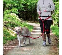 Ceinture abdominale avec laisse pour chiens de taille moyenne et grande Ceinture : 70-120 cm/12 cm, Laisse : 1,10-1,50 m/20 mm noir/gris.