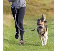 Ceinture abdominale avec laisse pour chiens de taille moyenne et grande Ceinture : 70-130 cm/9 cm, Laisse : 1,20-1,50 m/25 mm grafite/noir