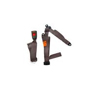 Ceinture arrière marron 3 points SECURON statique pour T25