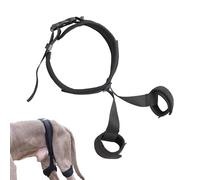Ceinture de levage de hanche canine : harnais de récupération, enveloppement de support | Sling auxiliaire souple avec poignées de préhension sûres et fixation à crochet idéale pour l'assistance aux
