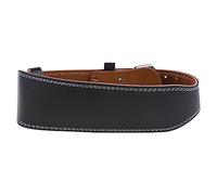 Ceinture de levage unisexe en cuir synthétique - Double piston - Pour le bodybuilding - Entraînement sous la colonne lombaire - Bas du dossier - Sport - Coudes - Protection des coudes - Pour adulte