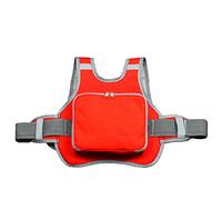 Ceinture De Sécurité Moto, Asudaro Harnais Sécurité Harnais Sûreté Bébé,Réglable Ceinture Moto Enfant Avec Poche Pour Garçons Filles âgés De 2 à 10 Ans Moins De 50 Kg,avec Bande Réfléchissante