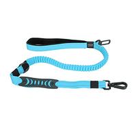 Ceinture de sécurité pour Animaux de Compagnie, Laisse de Marche pour Chien, Sangle réfléchissante en Nylon Durable pour l'entraînement et la Conduite, Boucle verrouillable (Bleue)