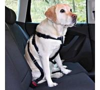 Harnais de sécurité auto Harnais de sécurité | Type de race : Harnais de sécurité XS - tour de poitrine de 20 à 50 cm