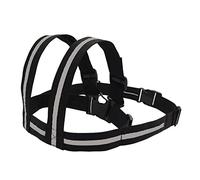 Ceinture de sécurité réglable pour moto pour enfant, pour scooter, voiture électrique, convient pour les enfants de 2 à 12 ans de moins de 30 kg