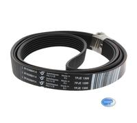 Ceinture Élastique 1309 7PJE Lave-Linge Whirlpool Original 481010388414