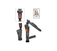 Ceinture extérieur arrière grise 3 points Securon - Statique