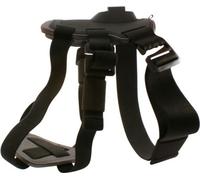 Ceinture pour animaux de compagnie avec support pour caméra de sport KSIX Noir