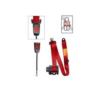 Ceinture Securon avant rouge 3 points 30 cm - avec enrouleur