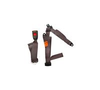 Ceinture SECURON statique Marron 3 points
