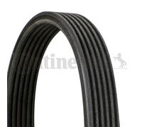 Ceinture V-Rainurée CONTINENTAL CTAM 6DPK1697 Pour BMW