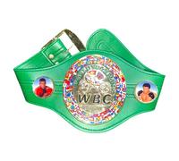 Ceintures de championnat de boxe pour enfants, WBC, WBA, IBF, WBO, IB, ceinture en cuir réglable avec plaques en métal chromé lourd, ceinture de trophée de champion pour enfants, affichage et