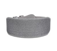 Ceintures d'haltérophilie de 10,5 cm largeur for hommes et femmes, ceinture fitness, squats, soutien du dos for l'haltérophilie, l'entraînement croisé(Gray,XL)