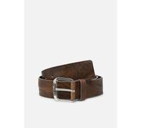 Ceintures Replay Ceinture boucle logo replay pour Accessoires 100 Marron
