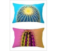 Cekog Housse de Coussin 40x60cm Lot de 2 Lin Rectangulaires Housse Coussin Exterieur Décoratives Boule de Cactus Bleue Motif Lombaire Taie d'oreiller pour Canapé Maison Salon Lit Jardin