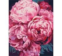 Cekog Peinture par Numéro Adulte Pivoines roses,avec Pinceaux et Acrylique Bricolage Toile Peintures Kits Paint by Numbers pour Débutant Décoration Lntérieure Maison sans Cadre,50x65 cm