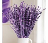 Celblisora Bouquet de fleurs de lavande séchées - 56 g - Branches de lavande préservées - Bouquet violet - Décoration florale pour tables de mariage, décoration de la maison, bricolage, plante sèche