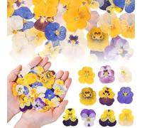 Celblisora Lot de 100 fleurs comestibles pressées naturelles séchées pour décoration de gâteaux, mélange d'alto tricolore pour décorations de cupcakes, cocktails, fabrication de bijoux en résine