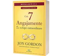 Cele 7 angajamente ale unei echipe extraordinare - Jon Gordon, Editie in limba romana