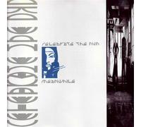 Celebrate the Nun - Meanwhile