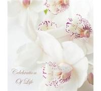 Celebration of Life In Loving Memory Funeral Guest Book Wake Loss Memorial Service Love Condolence Book Funeral Home Missing You Church Thoughts and In Me Lollys Publishing (Auteur)