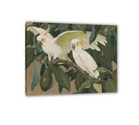 Célèbres Tableau imprimé sur toile-Reproduction de peinture à l'huile-affiches d'art mural et impressions d'animaux-Tableaux d’art mural(Cacatoès blancs dans un avocatier) 70x90cm28"x35"Encadré