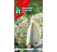 Céleri Cobra Graines - Grosse pomme à chair parfaitement blanche, de très bonne conservation