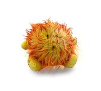 Celestial Buddies Le Soleil