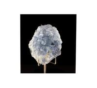 CELESTINE - Pierre Naturelle en Provenance de Madagascar, Sakoany deposit, Katsepy 785.5 ct - Certificat d'Authenticité Inclus 65 x 45 x 30 mm