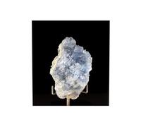 CELESTINE - Pierre Naturelle en Provenance de Madagascar, Sakoany deposit, Katsepy - Cristal de Célestine Rare et Puissant 718.5 ct - Certificat