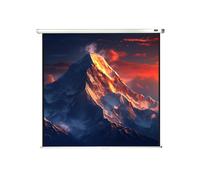 celexon Écran de projection manuel Economy 160 x 160 cm (89")