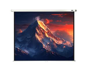 celexon écran de projection manuel Economy 200 x 150 cm - 98"