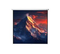 celexon écran de projection manuel Economy 240 x 240 cm - 134"