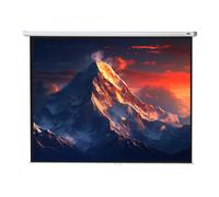 Celexon Écran de projection manuel Economy 300 x 225 cm (148") 4:3