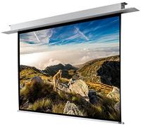 celexon Écran pour Projection et cinéma à encastrer motorisé Professionnel 240 x 180 cm 4:3 Facteur de Gain 1,2