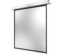 celexon Professional Plus écran motorisé encastrable 110" | 200x200cm 1:1
