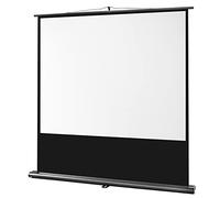 celexon Écran de projection Ultramobile Professional Pull-Up 55" 120x90 cm 4:3 - mât télescopique